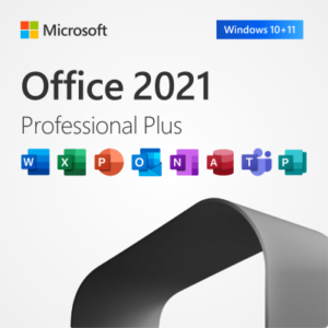 MS office 2021 professional plus