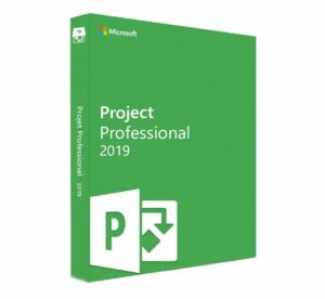 msproject19